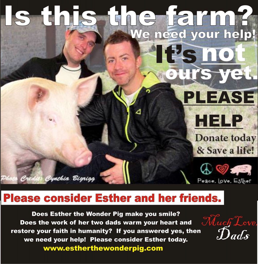 Steve Jenkins, Derek Walter and Esther the Wonder Pig · Kickass Canadians